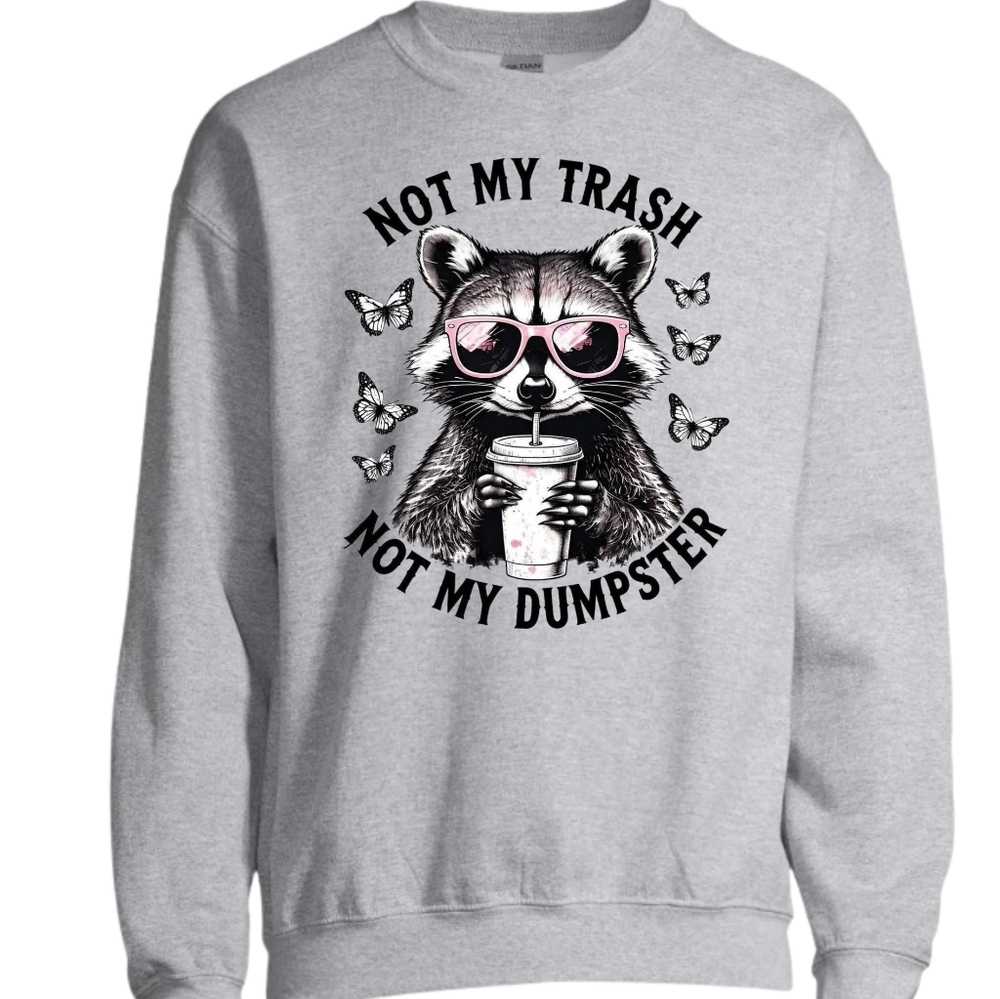 Not My Trash Not My Dumpster